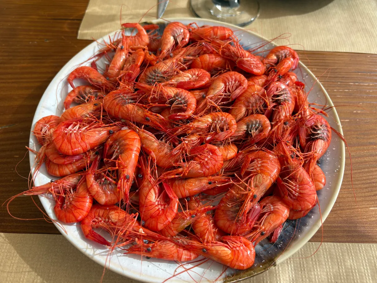 Plato de camarones cocidos sobre mantel de papel