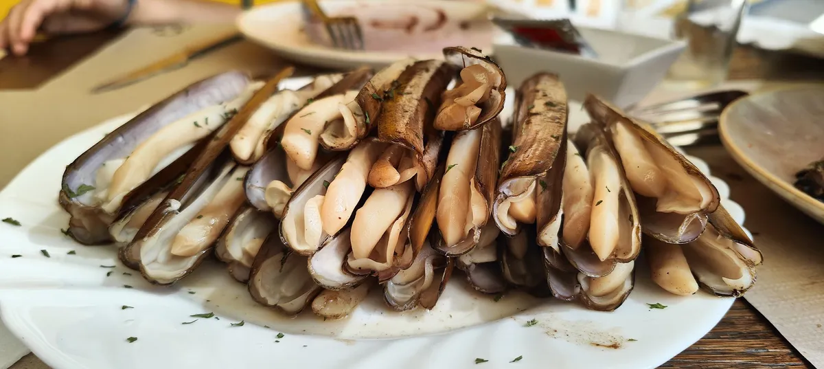 Navajas a la plancha