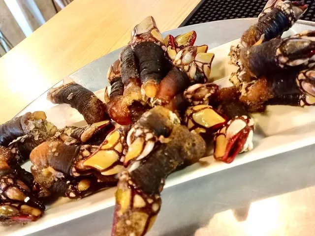 Percebes gallegos en una fuente